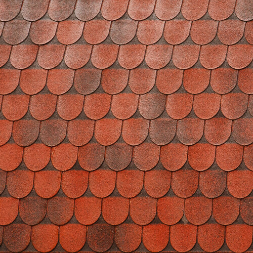 close-up of red tiles on a roof