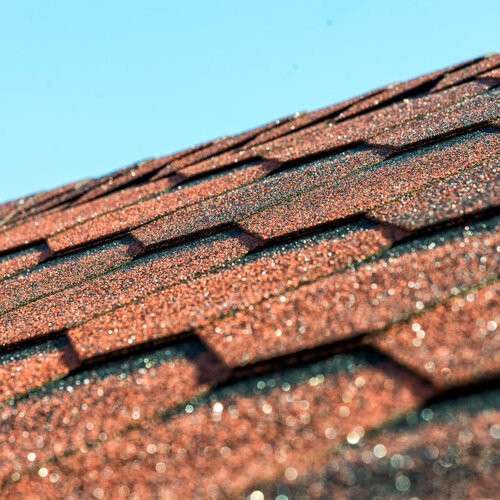 close-up of reddish-orange asphalt shingle roofing